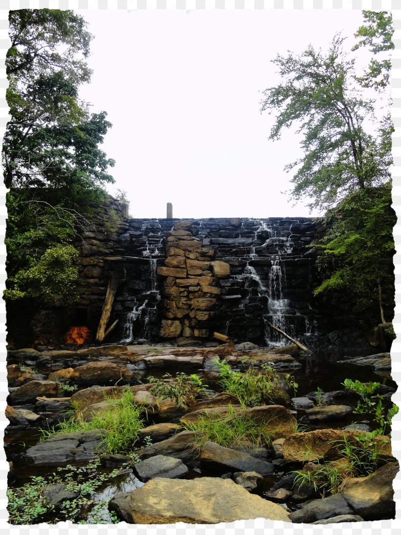 Nature Reserve Water Resources Vegetation Waterfall Forest, PNG, 1944x2592px, Nature Reserve, Forest, Landscape, National Park, Nature Download Free