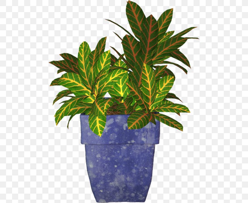 Clip Art Flowerpot Vector Graphics Image, PNG, 500x671px, Flowerpot, Flower, Houseplant, Leaf, Plant Download Free