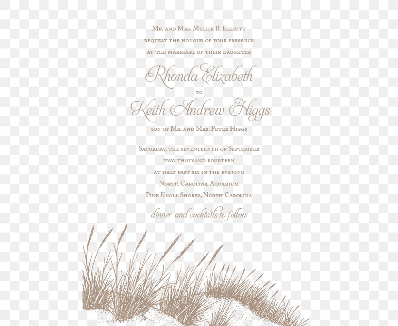 Wedding Invitation Convite Party Font, PNG, 480x673px, Wedding Invitation, Beach, Convite, Party, Text Download Free