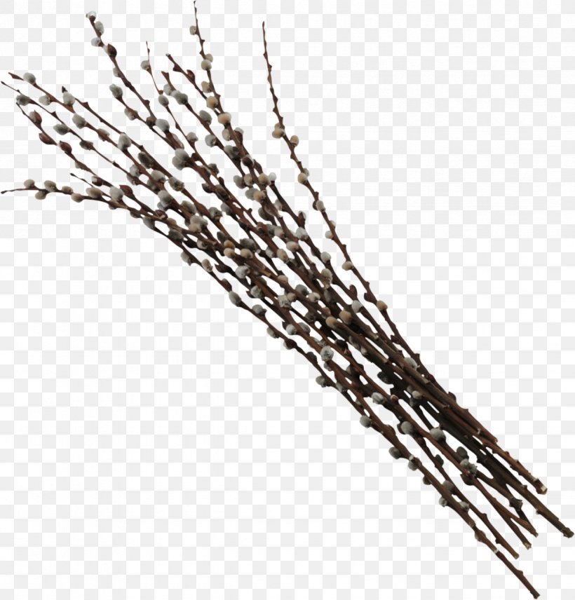Willow Clip Art, PNG, 1226x1280px, Willow, Animation, Black And White, Branch, Commodity Download Free