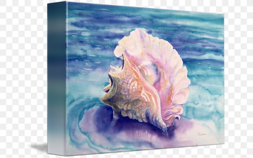 Caribbean Sea Lobatus Gigas Seashell Conch Watercolor Painting, PNG, 650x511px, Caribbean Sea, Conch, Cook, Gastropods, Lobatus Gigas Download Free