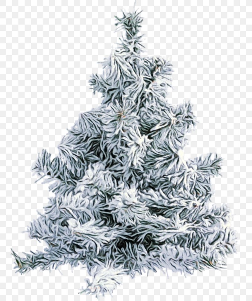 Christmas Tree, PNG, 753x980px, Watercolor, Balsam Fir, Canadian Fir, Christmas Tree, Colorado Spruce Download Free