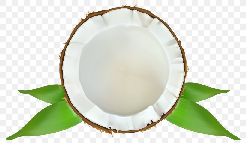Coconut Water Clip Art Coconut Milk, PNG, 800x477px, Coconut Water, Coconut, Coconut Cake, Coconut Milk, Dishware Download Free