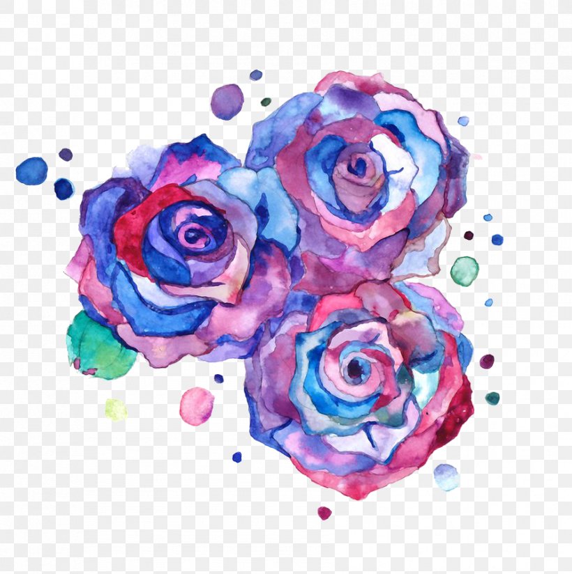 drawn roses in color