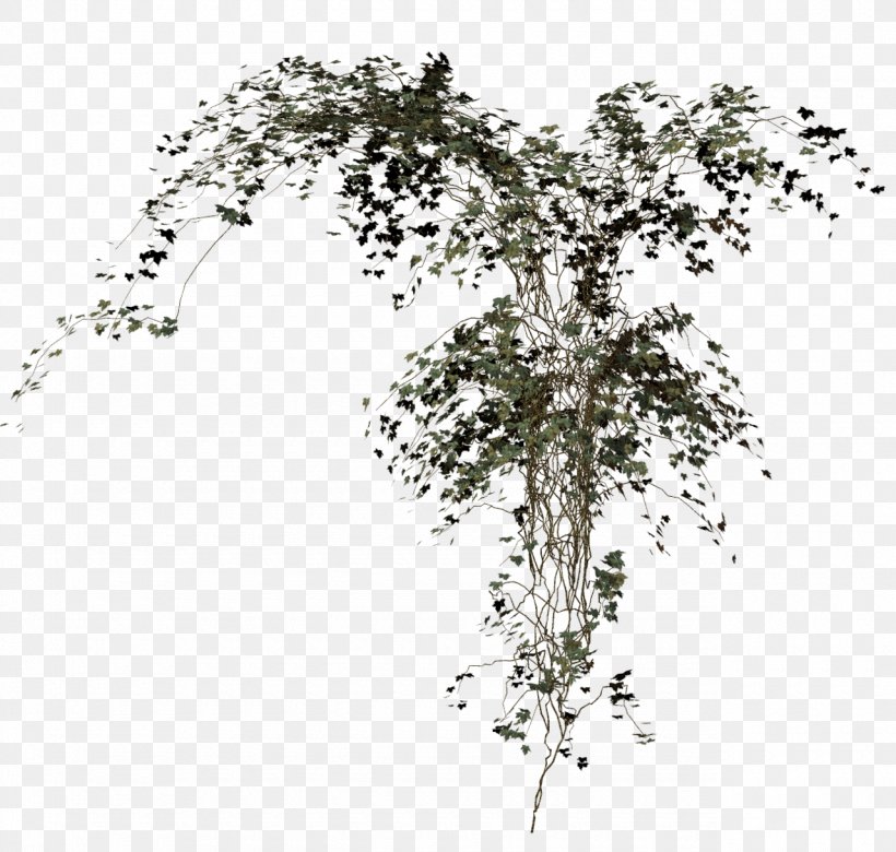 .net .de Rendering, PNG, 1280x1219px, 3d Computer Graphics, Net, Birch, Branch, Com Download Free