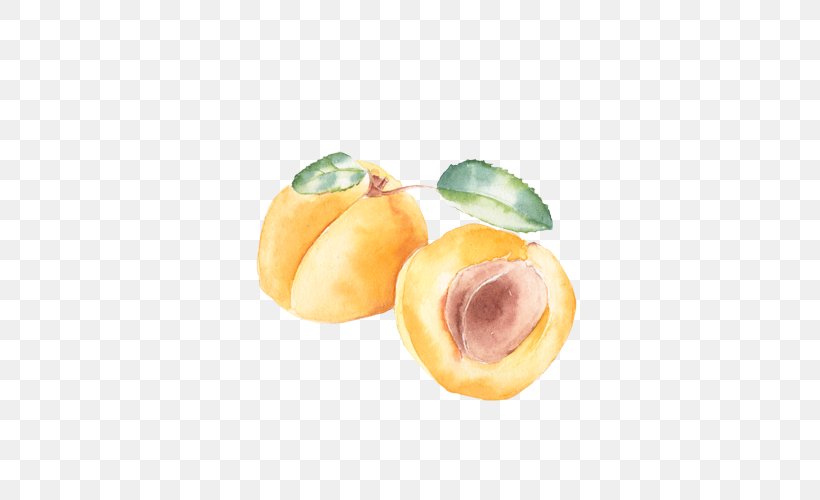 Peach Apricot Fruit, PNG, 500x500px, Peach, Apricot, Food, Fruit, Lemon Download Free