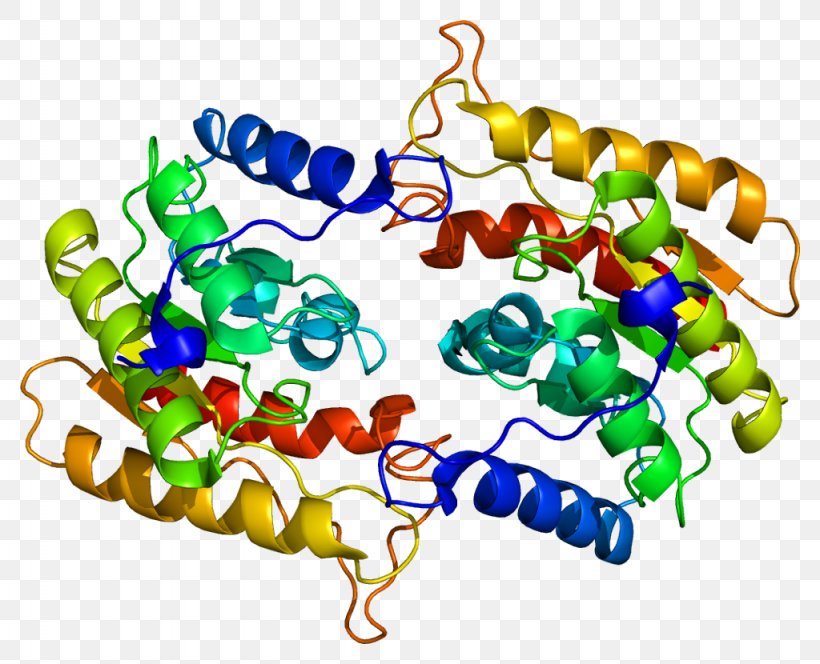 RAR-related Orphan Receptor Gamma Retinoic Acid Receptor, PNG, 1024x830px, Rarrelated Orphan Receptor, Bead, Body Jewelry, Gene, Ligand Download Free