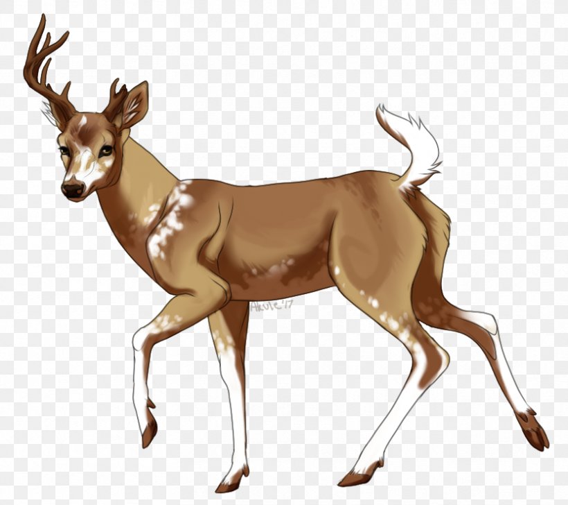 Thomson's Gazelle Springbok Antelope Clip Art, PNG, 833x740px, Gazelle, Antelope, Antler, Bovid, Deer Download Free