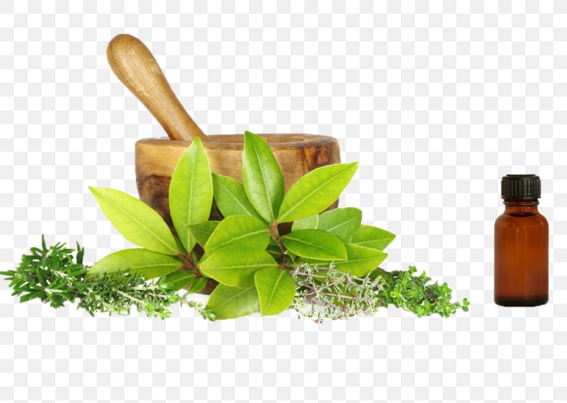 Herbalism Naturopathy Alternative Health Services Medicine, PNG, 1024x730px, Herbalism, Alternative Health Services, Ayurveda, Essential Oil, Health Download Free