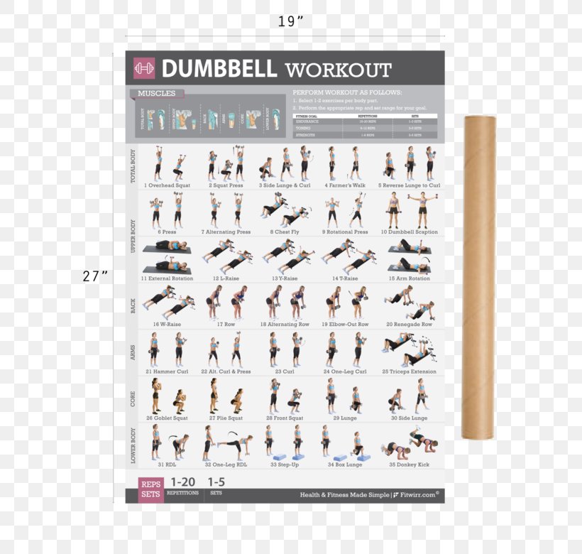 Weight Training Dumbbell Bodyweight Exercise Fitness Centre, PNG, 600x780px, Weight Training, Aerobic Exercise, Bodyweight Exercise, Brand, Dumbbell Download Free