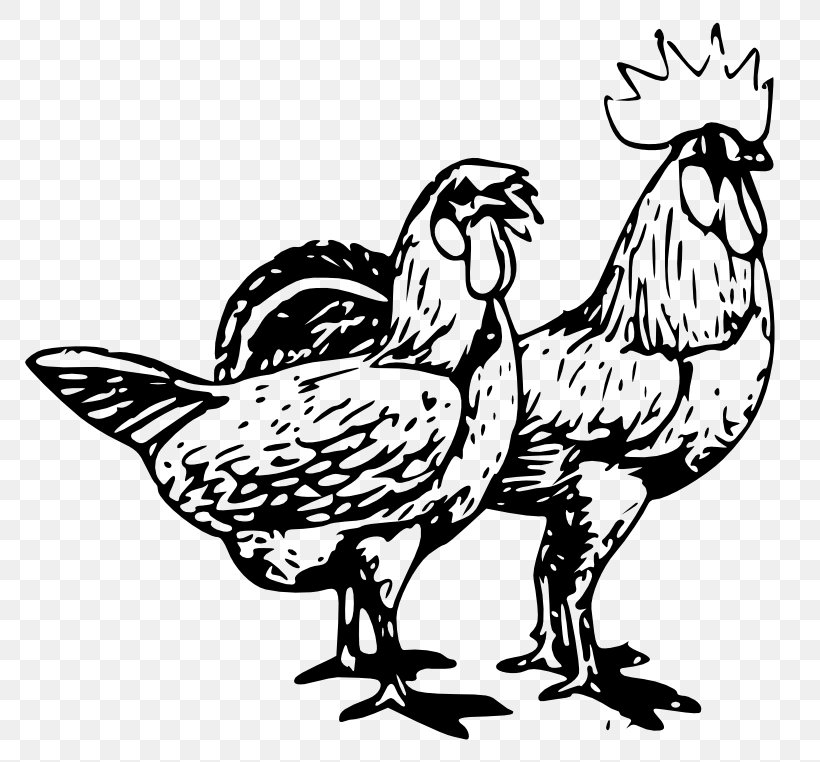 Chicken Poultry Farming Clip Art, PNG, 800x762px, Chicken, Art, Beak, Bird, Black And White Download Free