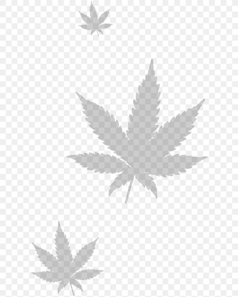 Medical Cannabis Kush, PNG, 630x1024px, Cannabis, Black And White, Cannabis Ruderalis, Cannabis Sativa, Flowering Plant Download Free