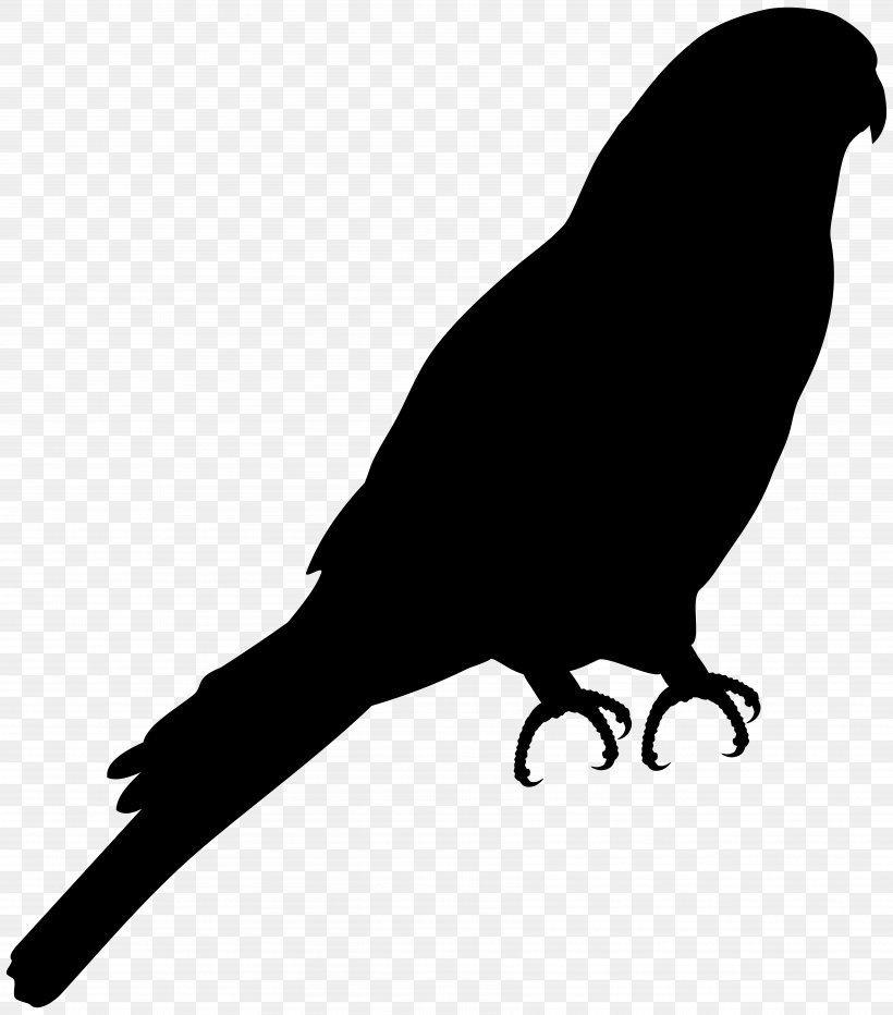 Bird Vector Graphics Pigeons And Doves European Robin, PNG, 7037x8000px, Bird, American Crow, Animal, Beak, Bird Of Prey Download Free