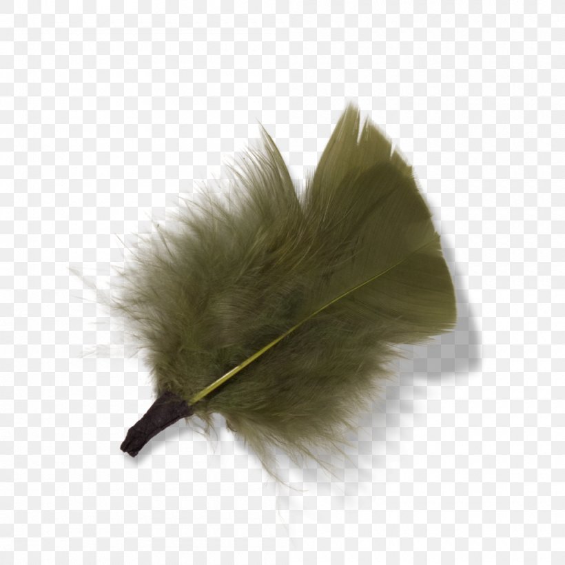Feather, PNG, 1000x1000px, Feather, Quill, Wing Download Free