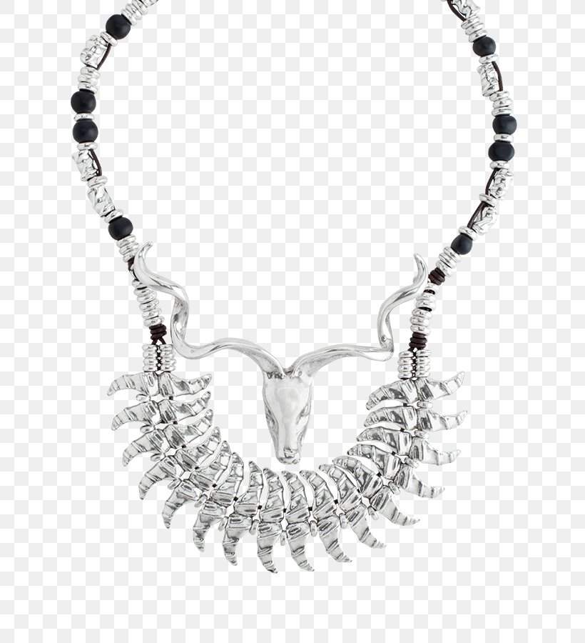 Necklace Jewellery Charms & Pendants Bracelet Silver, PNG, 675x900px, Necklace, Body Jewellery, Body Jewelry, Bracelet, Casket Download Free