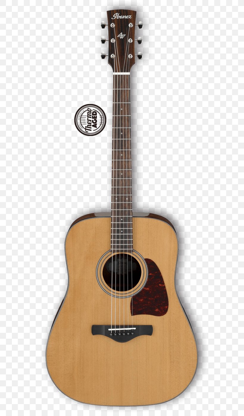 Twelve-string Guitar Ibanez Steel-string Acoustic Guitar, PNG, 591x1400px, Watercolor, Cartoon, Flower, Frame, Heart Download Free