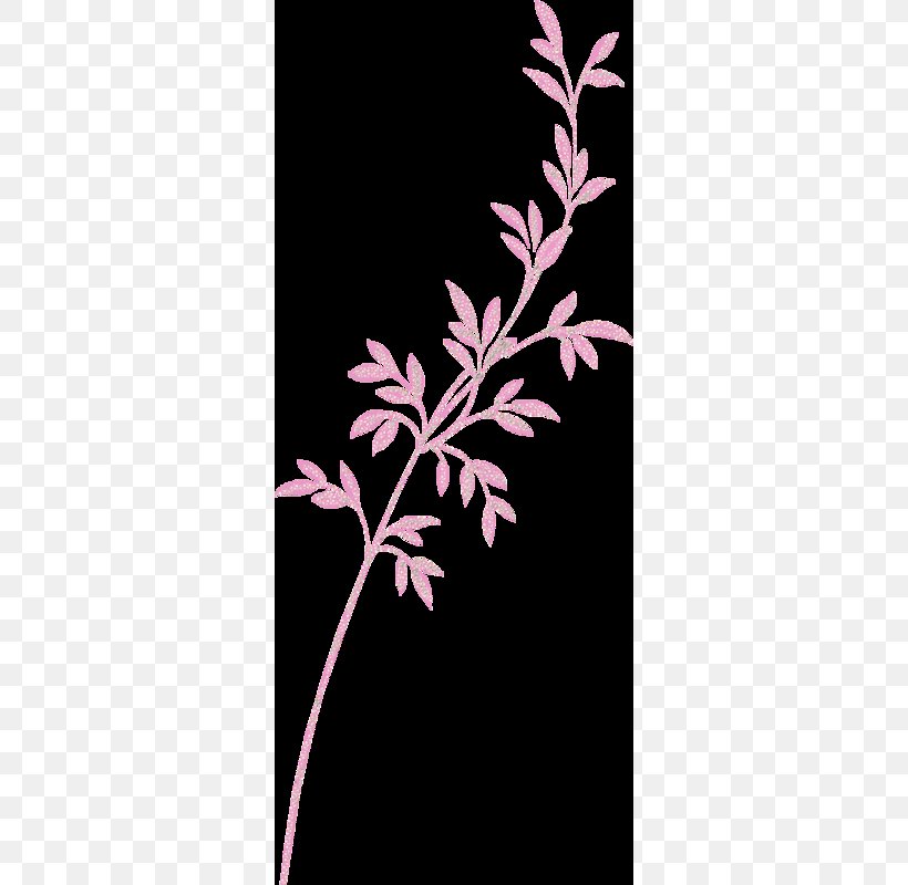 Twig Pink M Plant Stem Leaf Petal, PNG, 324x800px, Twig, Branch, Flower, Flowering Plant, Leaf Download Free