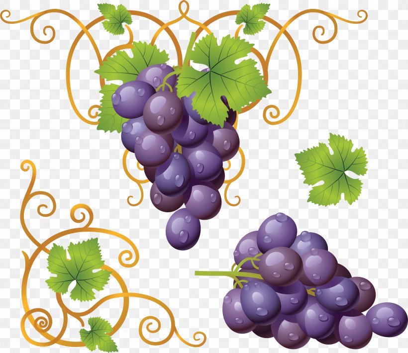 Common Grape Vine Wine Grape Leaves, PNG, 3529x3057px, Common Grape Vine, Flowering Plant, Food, Fruit, Grape Download Free