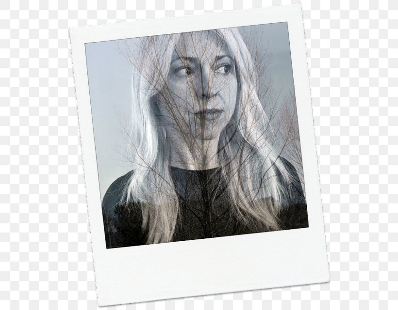 Portrait Stock Photography Drawing Picture Frames, PNG, 552x640px, Portrait, Art, Artwork, Drawing, Photography Download Free