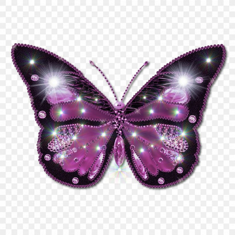 Butterfly Clip Art, PNG, 2000x2000px, Butterfly, Brush Footed Butterfly, Display Resolution, Image File Formats, Insect Download Free