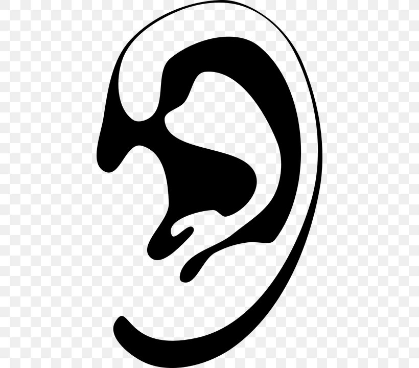 Ear Drawing Clip Art, PNG, 442x720px, Ear, Area, Artwork, Black And White, Drawing Download Free