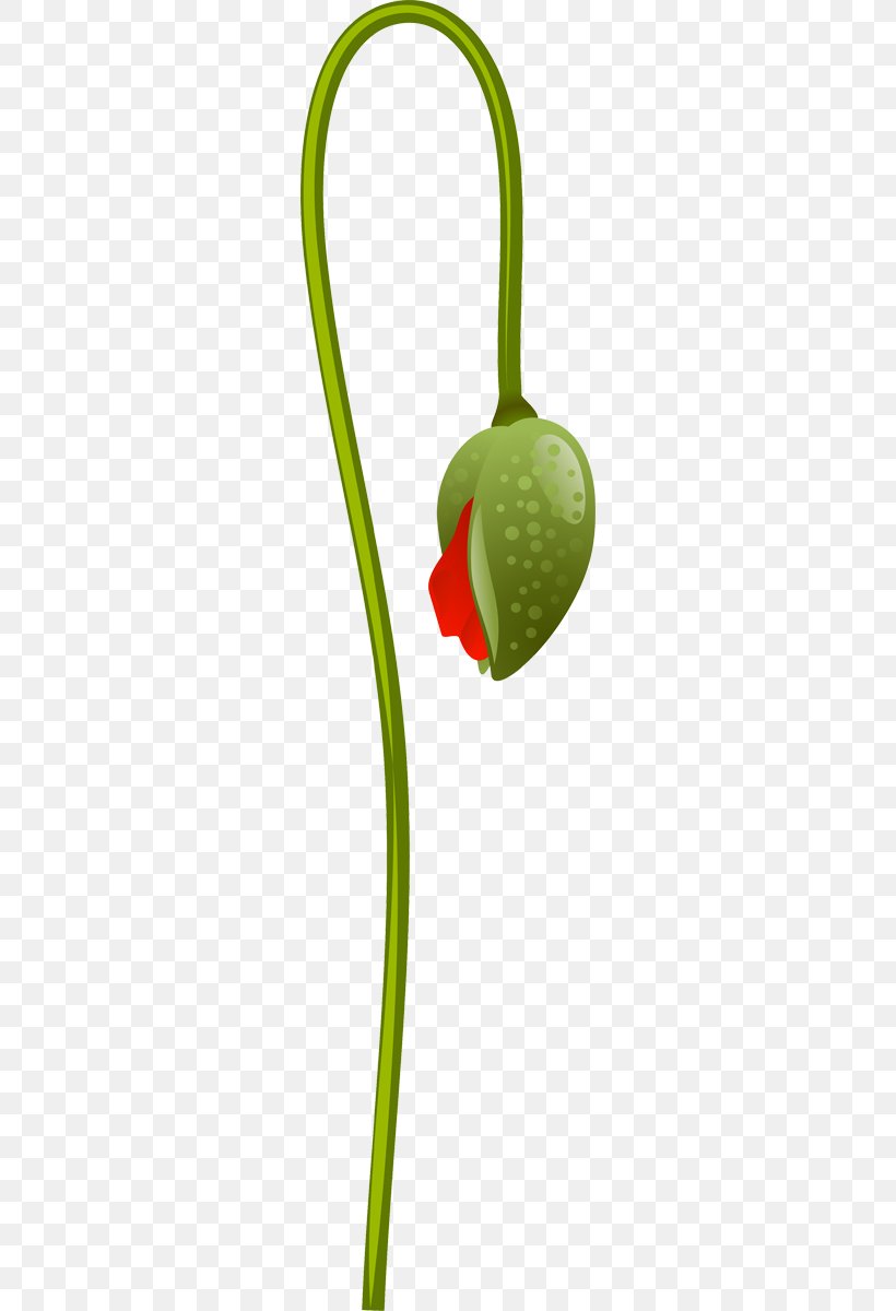 Flower Plant Stem Clip Art, PNG, 270x1200px, Flower, Plant, Plant Stem Download Free