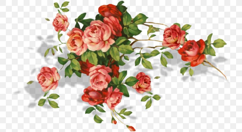 Garden Roses Flower Bouquet Birthday Floral Design, PNG, 740x450px, Garden Roses, Artificial Flower, Birthday, Blog, Cut Flowers Download Free