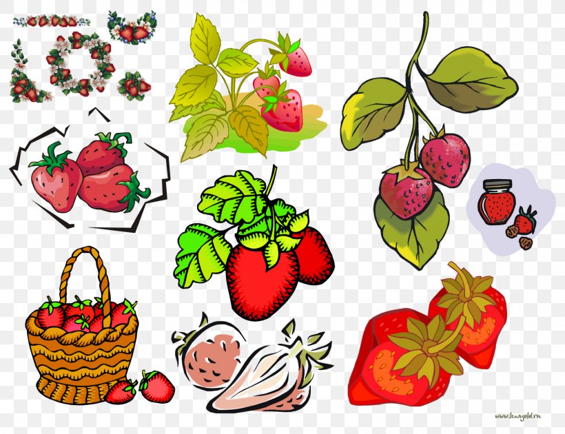 Strawberry Food Floral Design, PNG, 1600x1231px, Strawberry, Art, Artwork, Flora, Floral Design Download Free