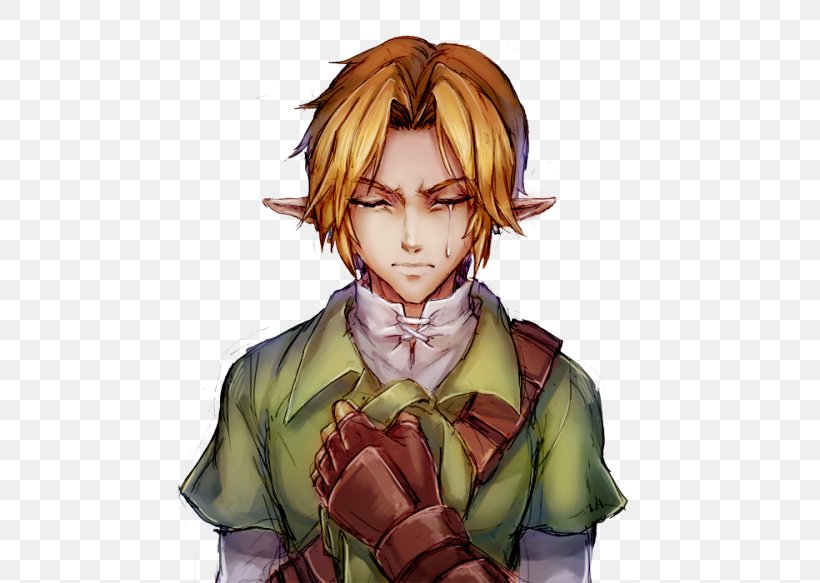 The Legend Of Zelda: Majora's Mask Link The Legend Of Zelda: Skyward Sword Princess Zelda, PNG, 500x583px, Watercolor, Cartoon, Flower, Frame, Heart Download Free