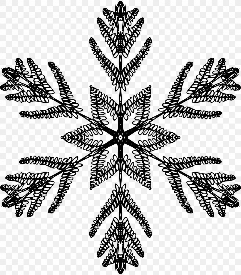 Black And White Snowflake Symmetry, PNG, 1683x1920px, Black And White, Art, Leaf, Monochrome Photography, Ornament Download Free