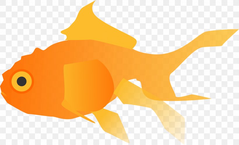 Goldfish Common Carp Zazzle Aquarium, PNG, 2400x1464px, Goldfish, Aquarium, Business Cards, Ceramic, Christmas Decoration Download Free