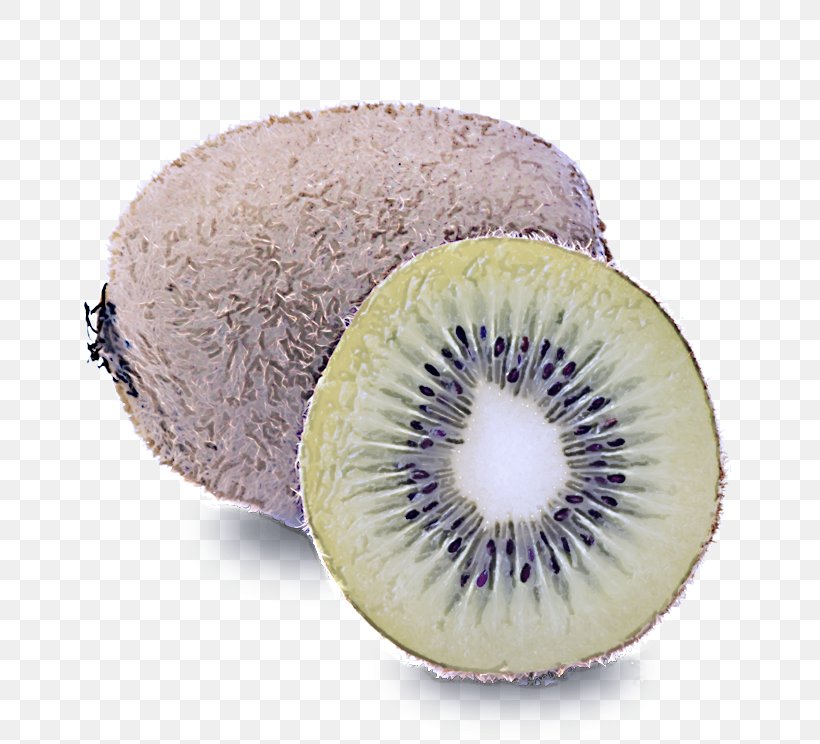Kiwifruit Fruit Food Hardy Kiwi Plant, PNG, 744x744px, Kiwifruit, Food, Fruit, Hardy Kiwi, Plant Download Free