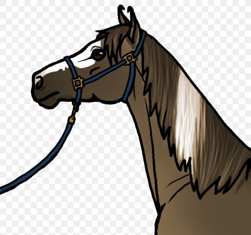 Mane Mustang Halter Stallion Horse Harnesses, PNG, 900x842px, Mane, Black And White, Bridle, Character, Colt Download Free