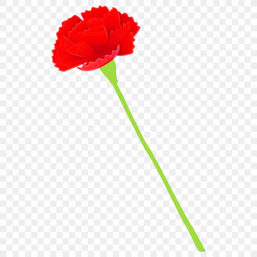 Red Flower Plant Carnation Cut Flowers, PNG, 1200x1200px, Carnation, Coquelicot, Cut Flowers, Flower, Paint Download Free