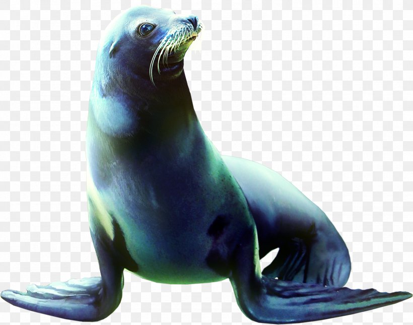 Sea Lion Earless Seal Animal Clip Art, PNG, 1578x1242px, Sea Lion, Animal, Beak, Drawing, Eared Seal Download Free