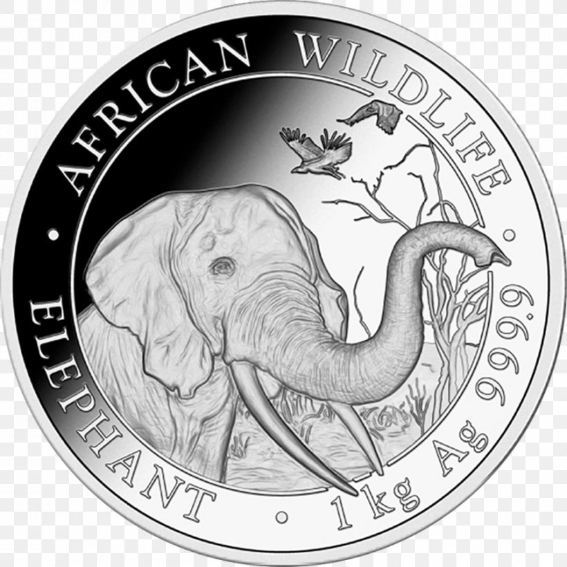 Somalia Bullion Coin Silver Coin, PNG, 900x900px, Somalia, Australian Silver Kookaburra, Black And White, Bullion Coin, Canadian Silver Maple Leaf Download Free