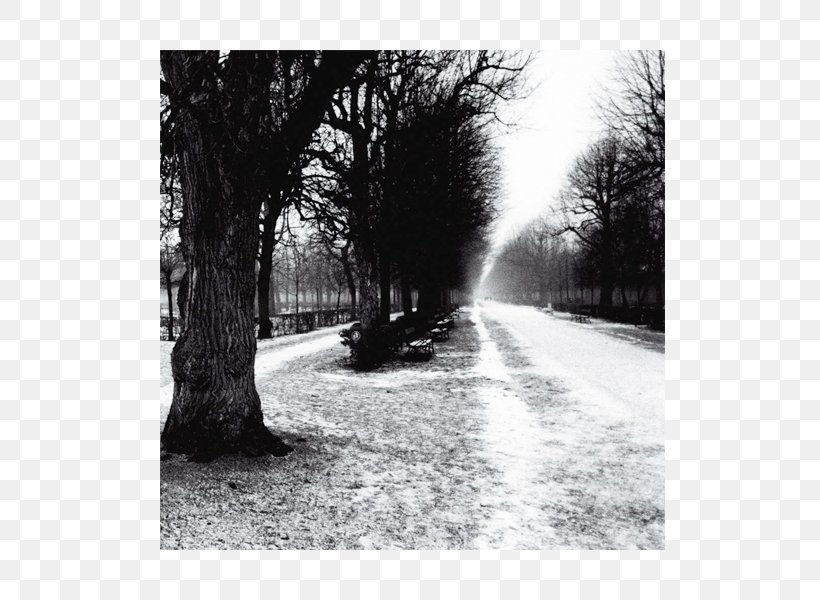 Black And White Slow Life Photography Deleted Titles, PNG, 600x600px, Black And White, Architectural Engineering, Asphalt, Branch, Com Download Free