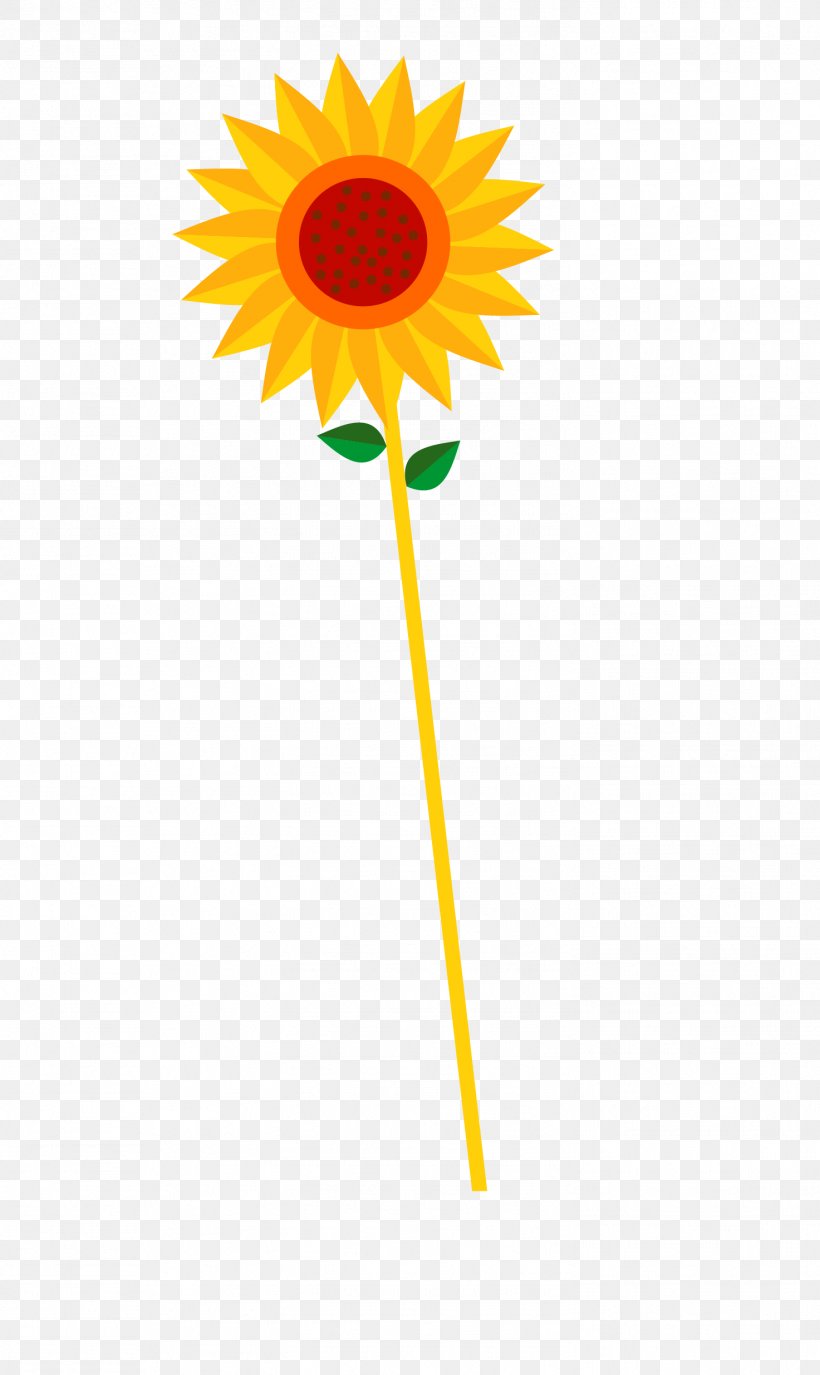 Common Sunflower Euclidean Vector, PNG, 1473x2471px, Common Sunflower, Cut Flowers, Daisy, Daisy Family, Drawing Download Free