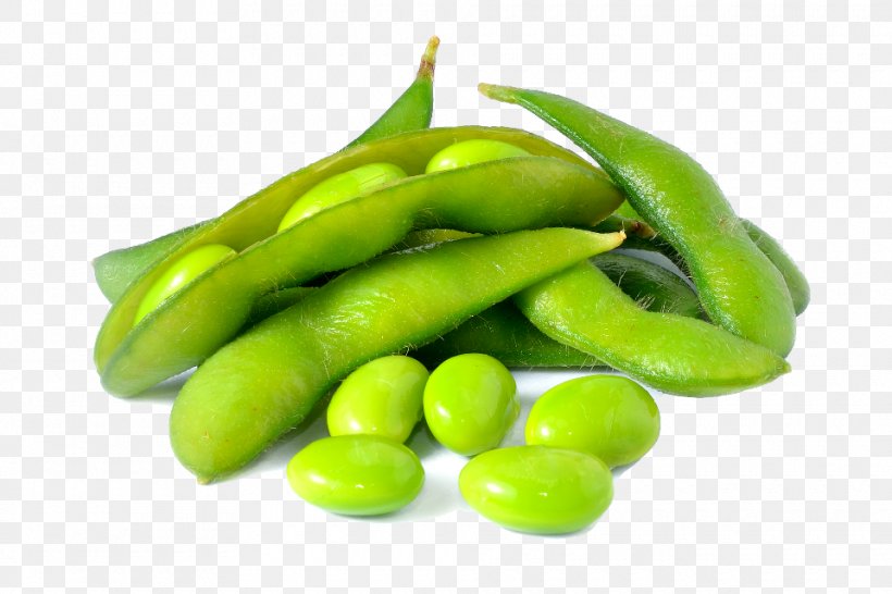 Edamame Organic Food Soy Milk Soybean, PNG, 960x640px, Edamame, Appetizer, Bean, Broad Bean, Commodity Download Free