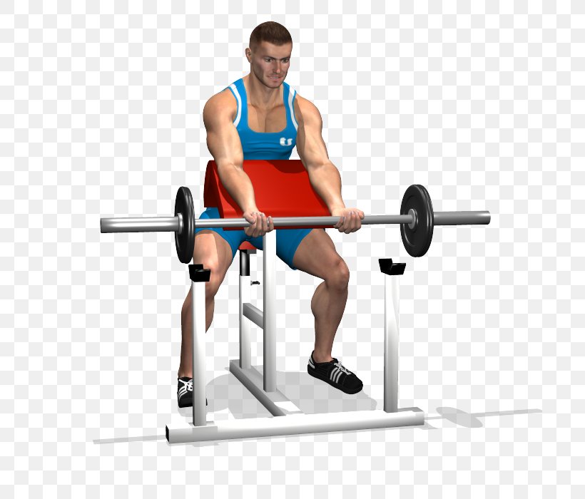 Powerlifting Barbell Bench Panca Scott Biceps, PNG, 700x700px, Watercolor, Cartoon, Flower, Frame, Heart Download Free