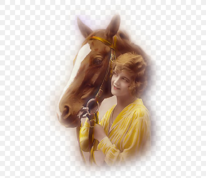 Régine Feuilleté Halter Mustang Bridle, PNG, 490x708px, Halter, Bridle, Canvas, Horse, Horse Like Mammal Download Free