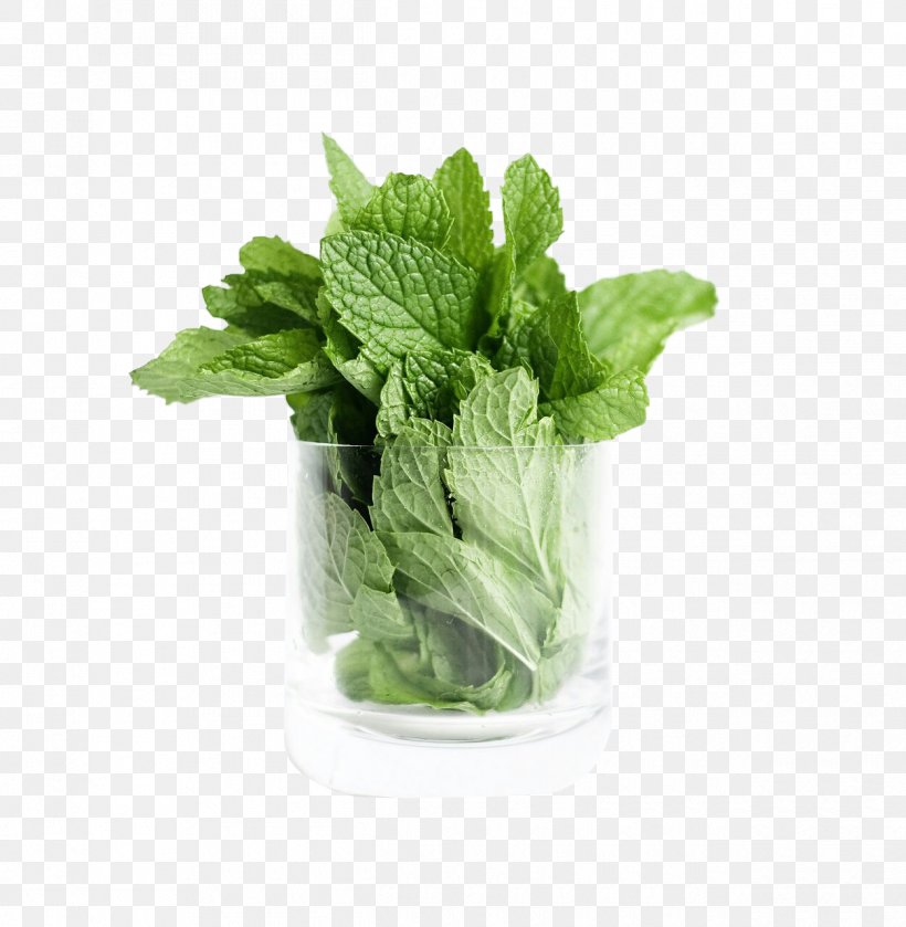 Spring Greens Romaine Lettuce 3D Computer Graphics Vegetable, PNG, 1250x1280px, 3d Computer Graphics, 3d Modeling, Spring Greens, Autodesk 3ds Max, Cgtrader Download Free