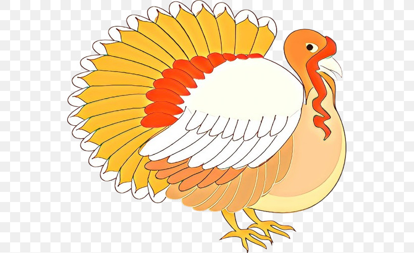 Thanksgiving, PNG, 553x501px, Bird, Beak, Thanksgiving, Turkey Download Free