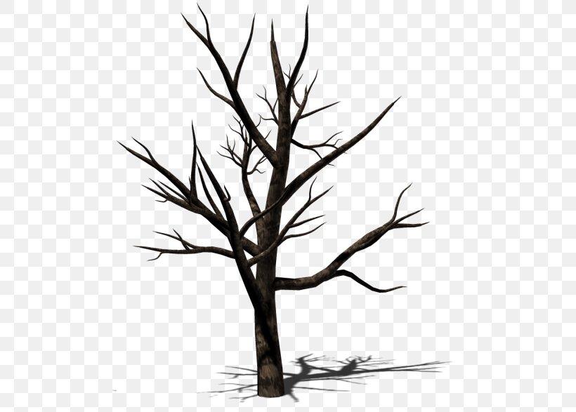 Twig Tree Image Vector Graphics, PNG, 500x587px, Twig, American Larch, Botany, Branch, Depositphotos Download Free
