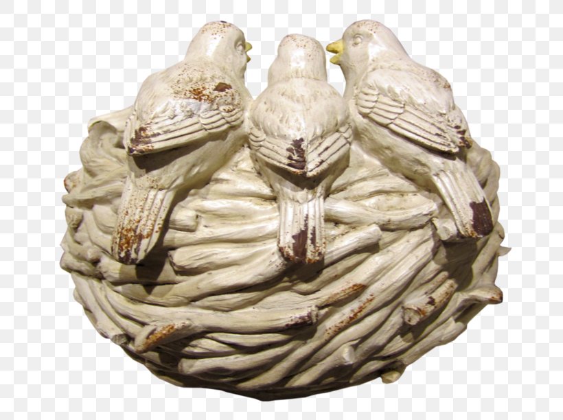 Edible Bird S Nest Bird Nest Budgerigar Parrot Png 700x612px