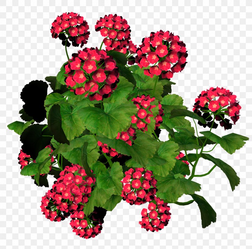 Flower Drawing, PNG, 1101x1089px, Flower, Annual Plant, Berry, Designer, Drawing Download Free