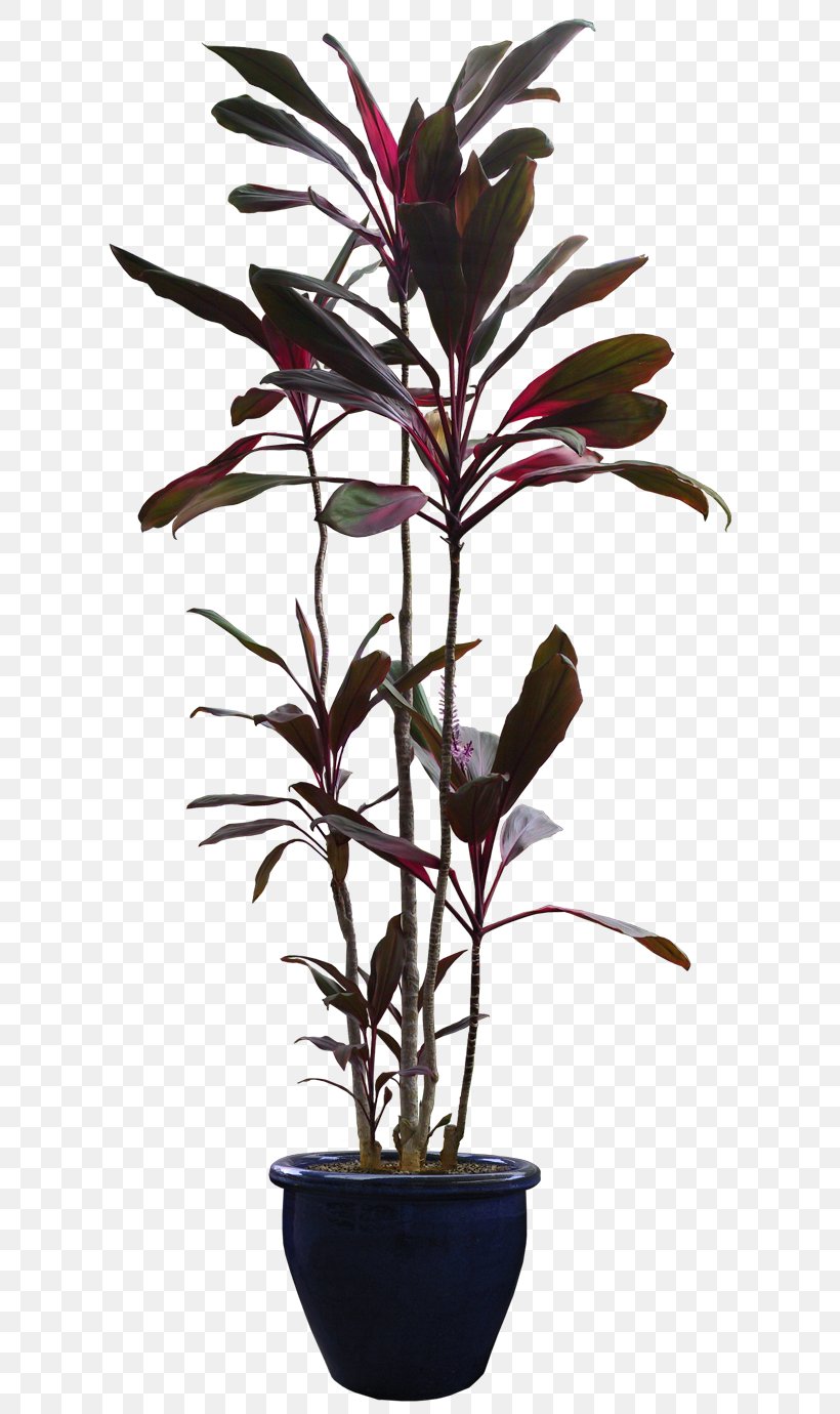 Flowerpot Houseplant Tree, PNG, 640x1380px, Flowerpot, Arecaceae, Bed, Bedroom, Branch Download Free