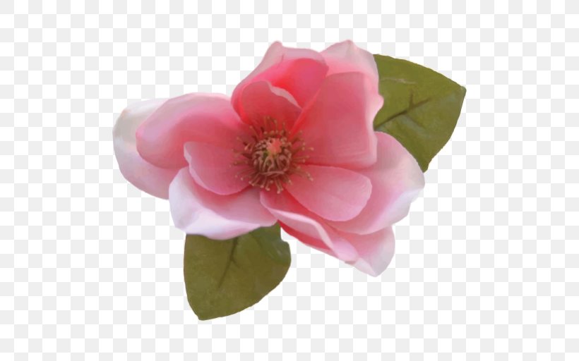 Magnolia Flower Bouquet Photography, PNG, 512x512px, Magnolia, Artificial Flower, Camellia, Common Daisy, Floribunda Download Free
