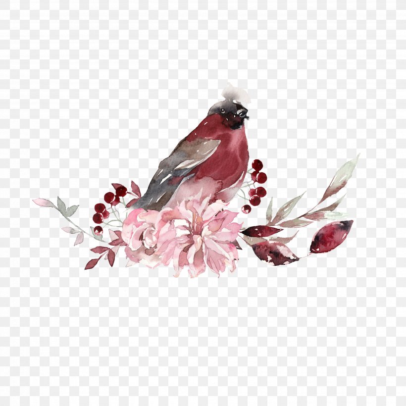 Watercolor Flower Background, PNG, 3500x3500px, Watercolor Painting, Argentina, Bird, Buenos Aires, Drawing Download Free