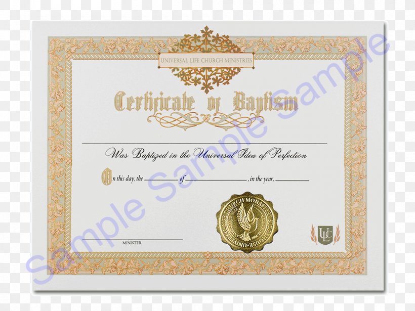 Acts Of The Apostles Baptism Christianity Confirmation Christian Ministry, PNG, 1000x750px, Acts Of The Apostles, Baptism, Book, Border, Brand Download Free